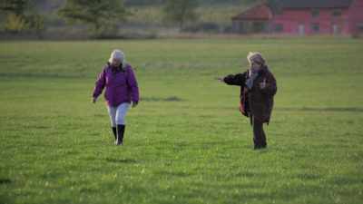 -- Wow. -- So, there's, look,
a fairy ring. - Extraordinary Escapes with Sandi Toksvig