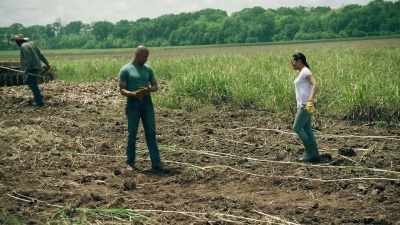Wow. That is literally
backbreaking work. - Queen Sugar