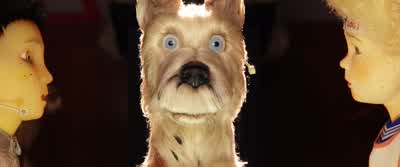 Wow, that's a great serum! - Isle of Dogs