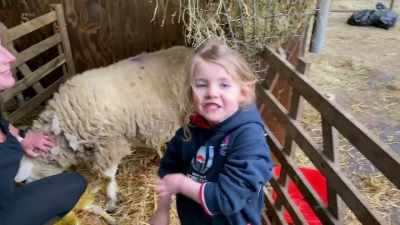 Wow. That's my first lamb I got out. - Our Yorkshire Farm