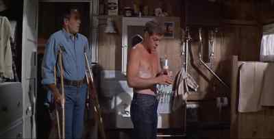         Wow! That's             
        quite a sunburn.         - Spencer's Mountain