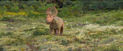 Wow! This is the most beautiful
place I've ever seen. - Walking with Dinosaurs