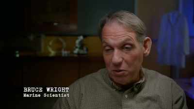 WRIGHT:
There's five million salmon - The Alaska Triangle