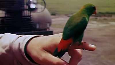 Wrong. Dead wrong. - The Pacific War in Color