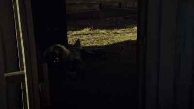 Wynonna... - Wynonna Earp