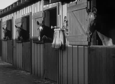Xanadu's livestock... - Citizen Kane