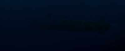 XO, what's better... - Hunter Killer