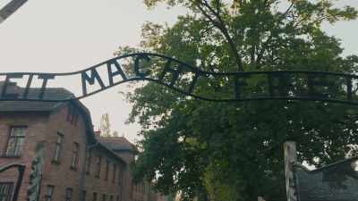 Y cuando entramos,
se desató el infierno. - The Tattooist’s Son: Journey to Auschwitz
