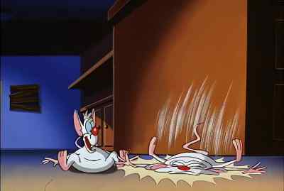 YAAH!
YAAH! - Pinky and the Brain