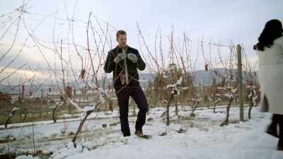 Yah, whoa! I'm good. I'm fine. - A Vineyard Christmas