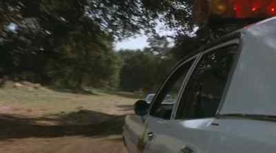 Y'all pay attention while we figure out who's chasing who. - The Dukes of Hazzard