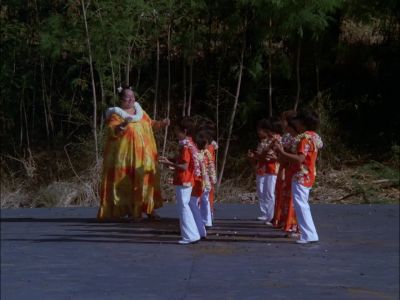 [ "YANKEE DOODLE" CONTINUES ] - Hawaii Five-O