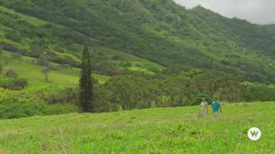 Yap, but not everybody
has a video of it, - You Had Me at Aloha