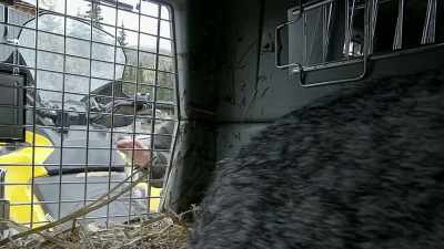 Yay! You got us bunnies. - Life Below Zero: Next Generation