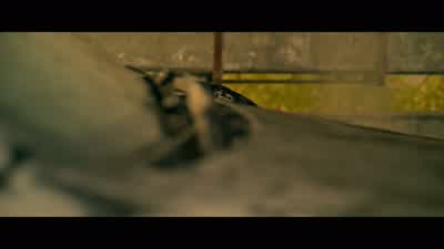 Yaz, where are you? - Extraction