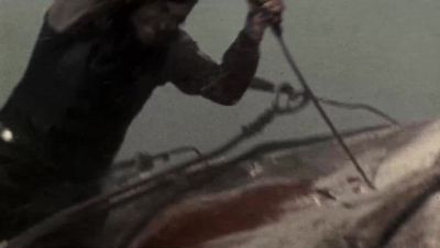 Ye damned whale - Moby Dick