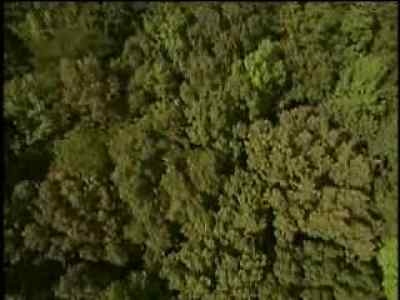 Yea though I walk through the valley - Paradise Lost: The Child Murders at Robin Hood Hills