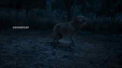 Yeah, you better run. - Mufasa: The Lion King
