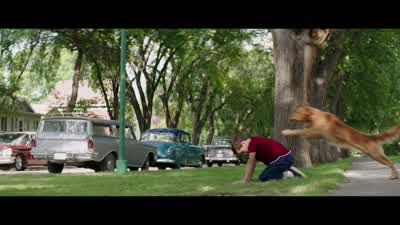 Yeah, boy. - A Dog's Purpose