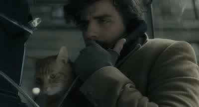 Yeah could you Could you just tell himDon't worry Llewyn has the catLlewyn is the cat - Inside Llewyn Davis