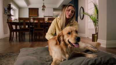 Yeah, creating new life
must really tucker you out. - Everything Puppies