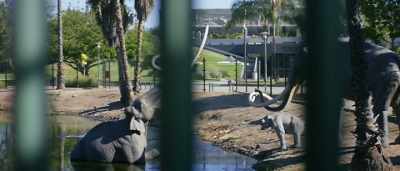 Yeah, my dad would always
say, "don't go in the tar pits" - Tar