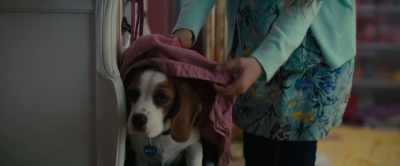 Yeah, don't know this game.
I will give it a try. - A Dog's Journey