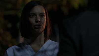 Yeah, grass is green,
the flowers are bright, - Marvel's Inhumans