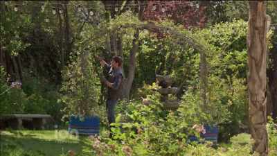 Yeah, he is pretty good-looking,
and he did follow his dreams, - A Wedding for Christmas