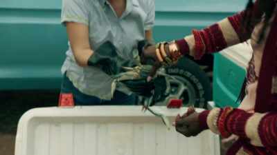 - Yeah, here we go.
- Let's see what
you got there. - Queen Sugar