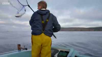 Yeah! Hey! - Cornwall: This Fishing Life