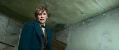 Yeah, I admit that is a slightly more severe reaction than I've seen. - Fantastic Beasts and Where to Find Them