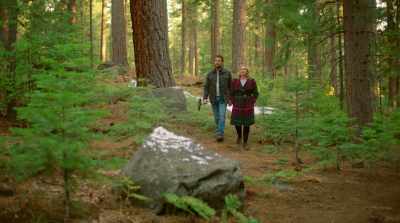 - Yeah, I got a great tree here - Dear Christmas