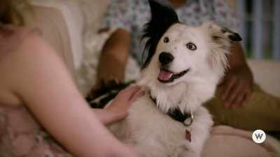 Yeah, but I just didn't know
how much I was gonna love Sam. - Romance to the Rescue