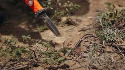 YEAH, I THINK
THAT COULD BE CERVICAL THERE. - Dino Hunters