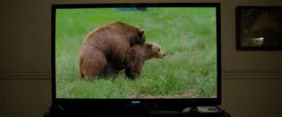 Yeah, I'm gonna pass. - Ted 2