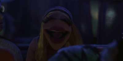 Yeah, it's like land or books or ponchos. - The Muppets Mayhem