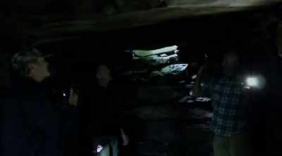 Yeah, it's really
get like 10 to 12 footers - Alien Worlds: Giants and Hybrids