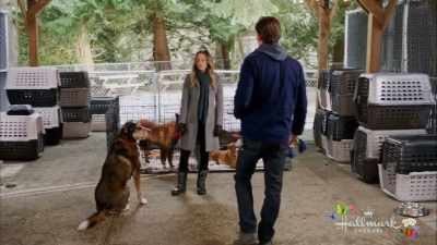 Yeah, it's...
sweet and soft, - Love at First Bark