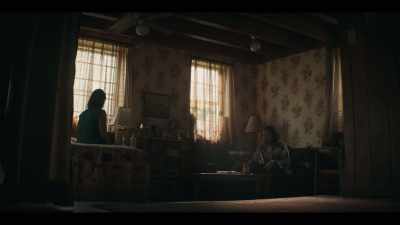 Yeah, it's the apocalypse. - Y: The Last Man