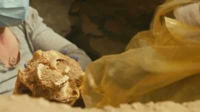 Yeah, just put your hands
in the back - Lost Kingdom of the Black Pharaohs