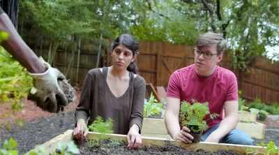 Yeah, no. You can tear - Homegrown