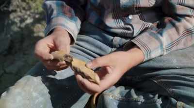 YEAH, RIGHT THERE, BUT I DON'T
KNOW WHAT IT IS. - Dino Hunters