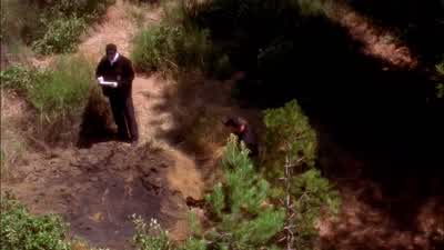 Yeah - NCIS