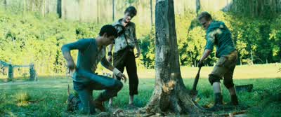 Yeah. There you go, Greenie. - The Maze Runner