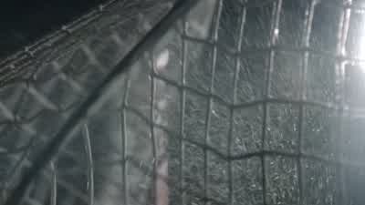 Yeah! Yes! Whoo! Your best ally has always been anger, Derek, but what you lack most is heart. That' - Teen Wolf