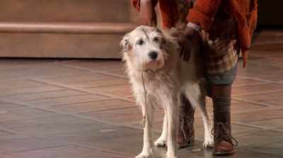 Yeah, you see, I call him
Sandy because of his nice - Annie Live!