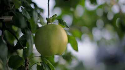 -- Yeah. So, I think you need to make
time for your pals and apple trees. - Extraordinary Escapes with Sandi Toksvig
