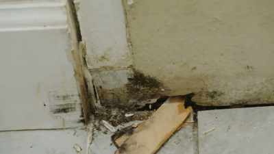 - Yeah.
- So we need to figure out what's going on down there - Help! I Wrecked My House