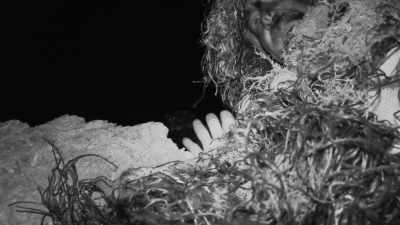 Yeah, that sounds like
something pretty bold, - Expedition Bigfoot